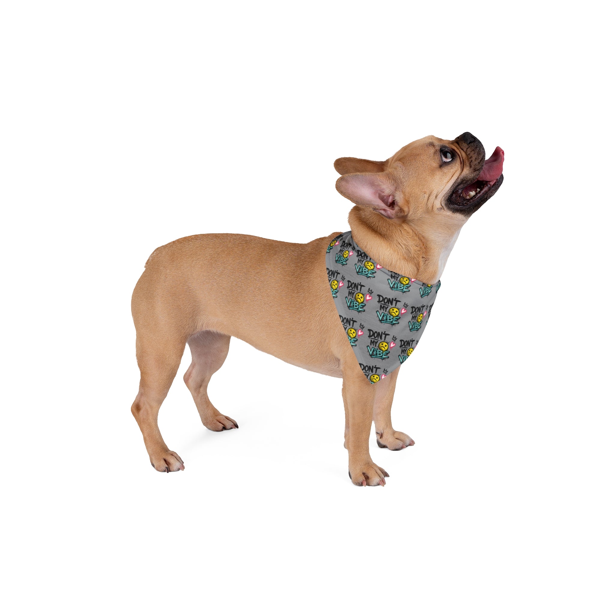 Pet Bandana - "Don't Kill My Vibe" Grey Graphic Dog Scarf